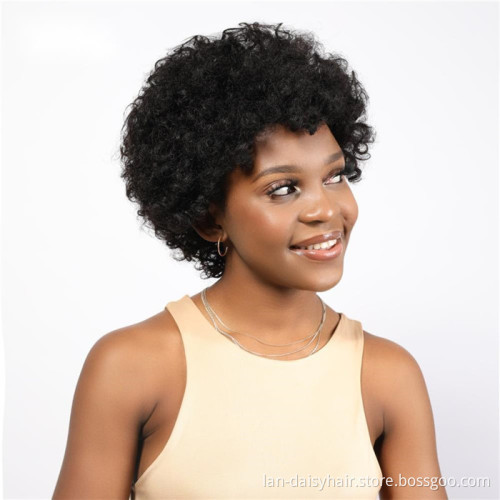 Wholesale wigs 100% human hair 10a Indian hair 13*1 Afro kinky curly lace front wig For Black Women